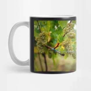 Ripening grapes on the vine Mug